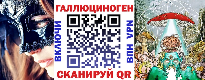 дарнет шоп  Ладушкин  Псилоцибиновые грибы Psilocybine cubensis 